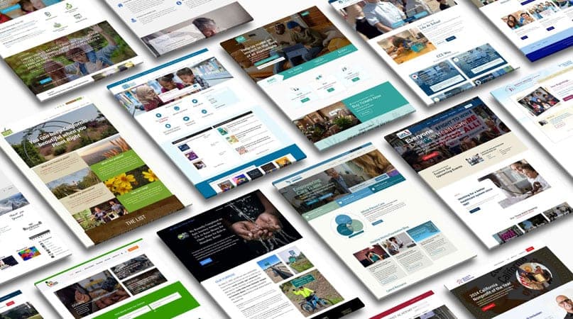 Business Website Development